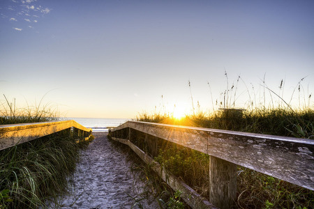Brevard County Photo Gallery Sandy Trail leading to the beach on the Atlantic Ocean with wood hand railings.