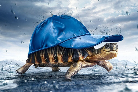 This is a Test Alt #53683