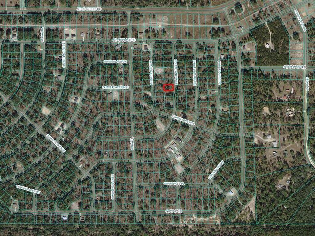 Tbd0001 Fisher Lane Terrace, FL 32179