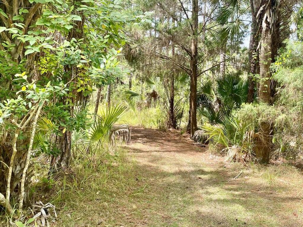 6776 Keydeer Avenue, Cocoa, FL 32926