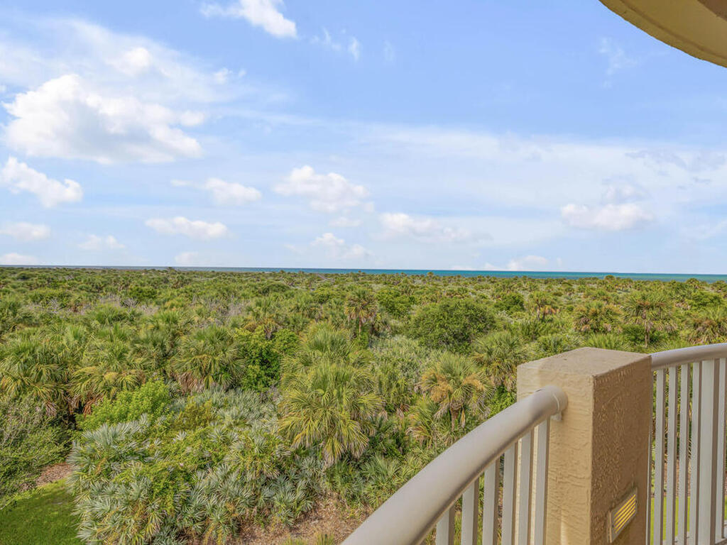 261 Minorca Beach Way, New Smyrna Beach, FL 32169