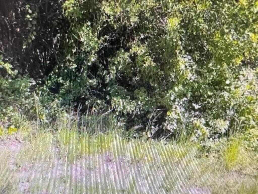 380 Warwick Street, Palm Bay, FL 32909