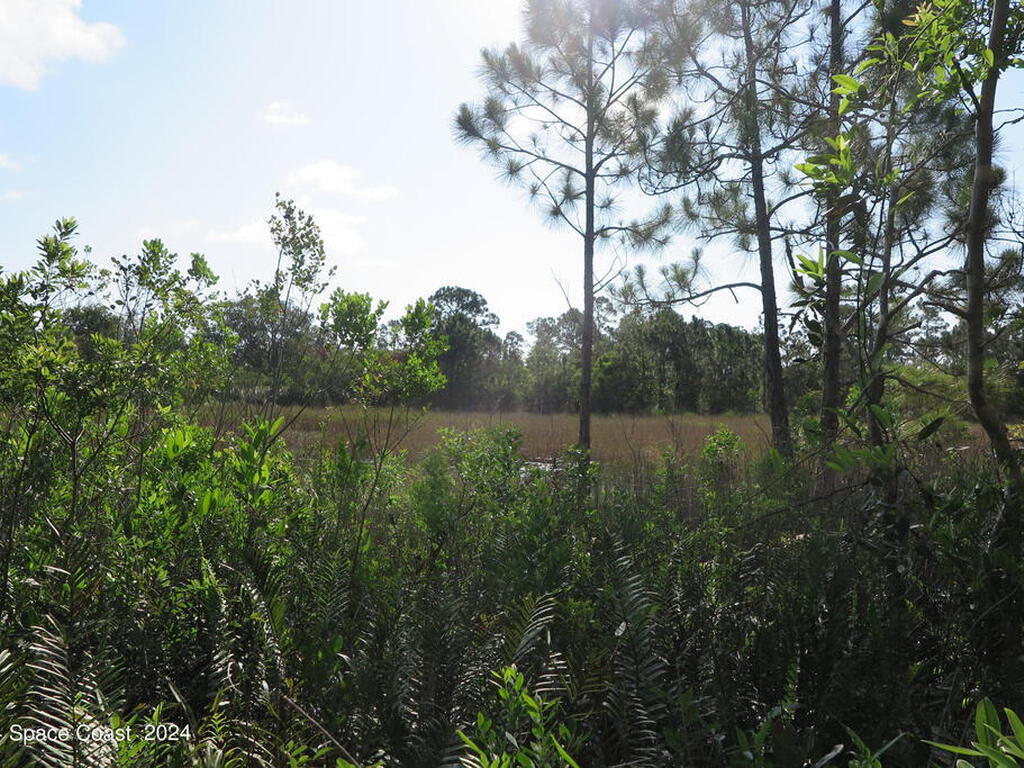 0000 Fleming Grant Road, Micco, FL 32976