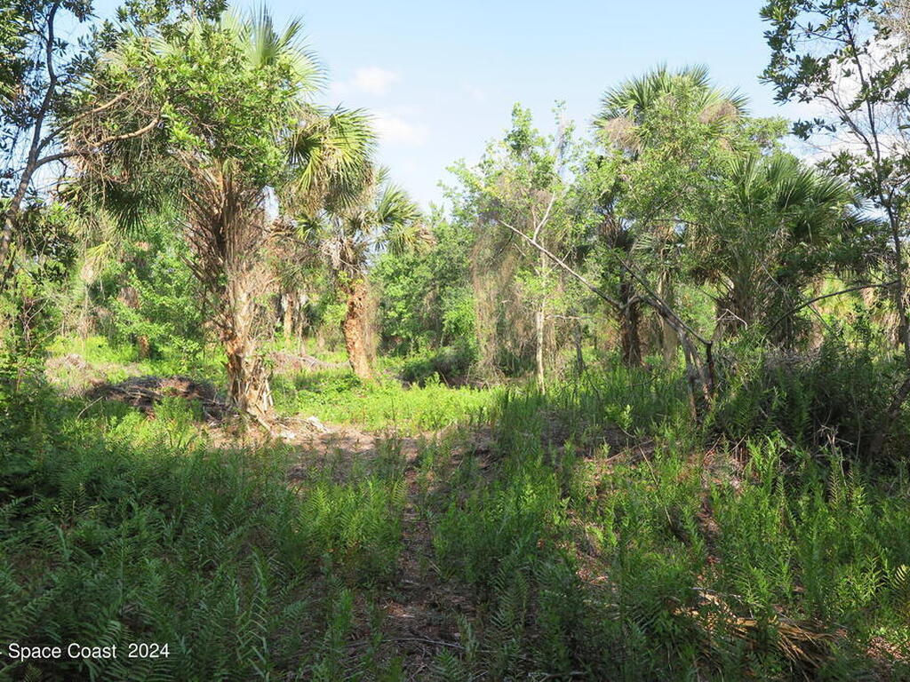 0000 Fleming Grant Road, Micco, FL 32976