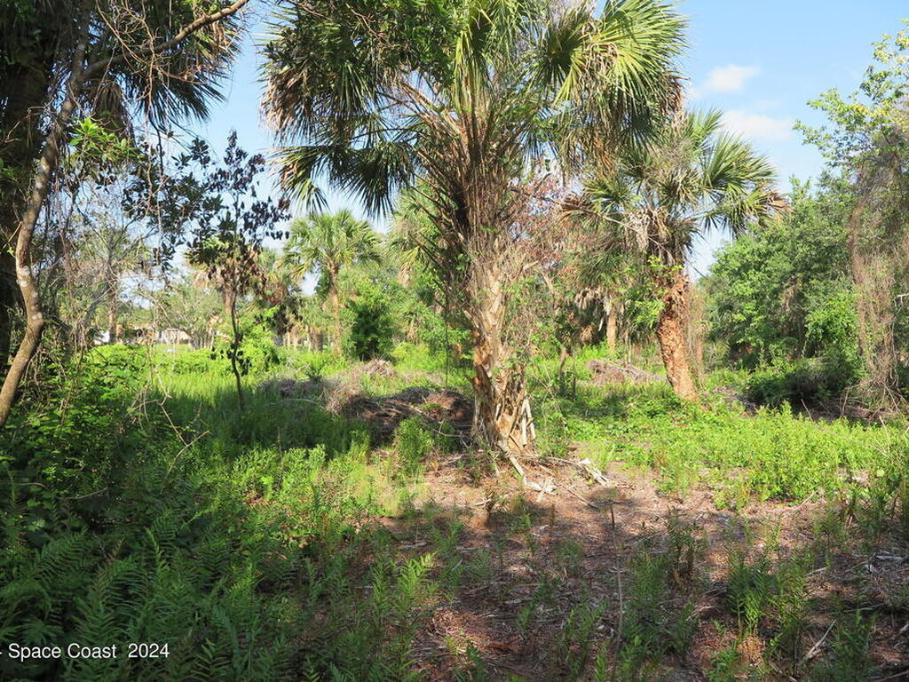 0000 Fleming Grant Road, Micco, FL 32976