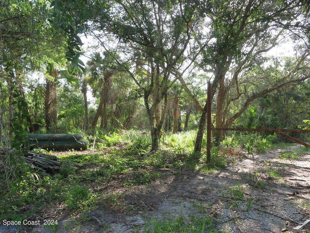 0000 Fleming Grant Road, Micco, FL 32976