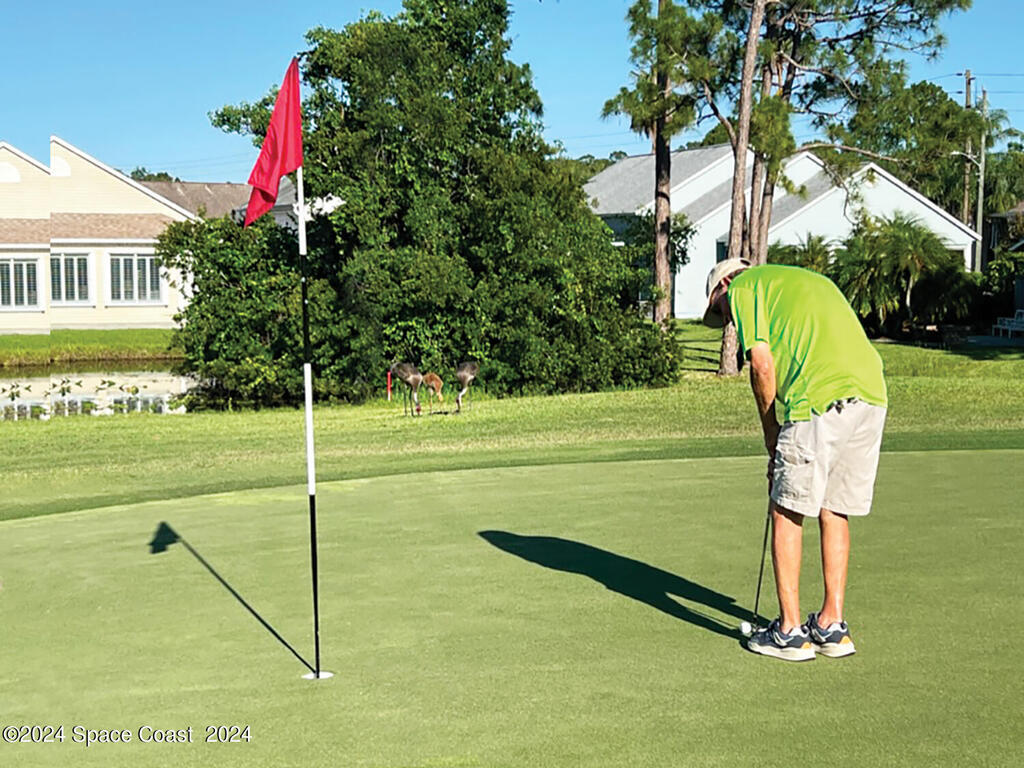 828 E Plantation Drive, Titusville, FL 32780