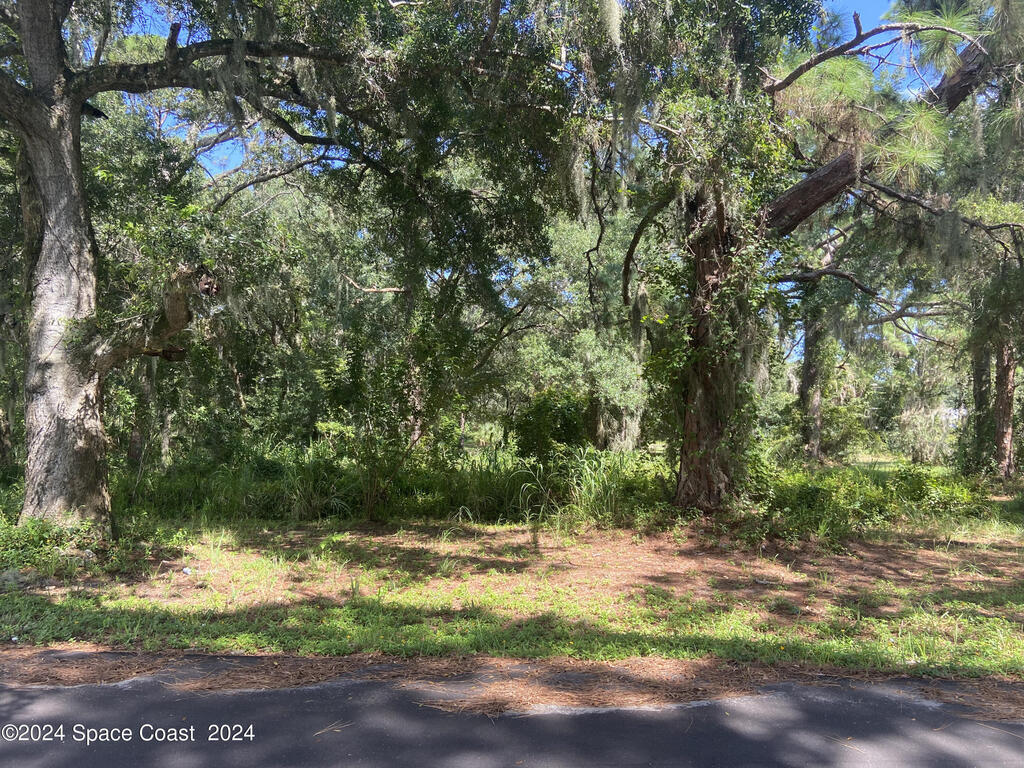 Xxx E Hickory Circle, Mims, FL 32754