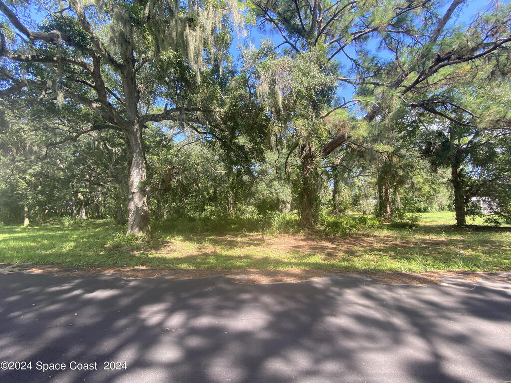 Xxx E Hickory Circle, Mims, FL 32754