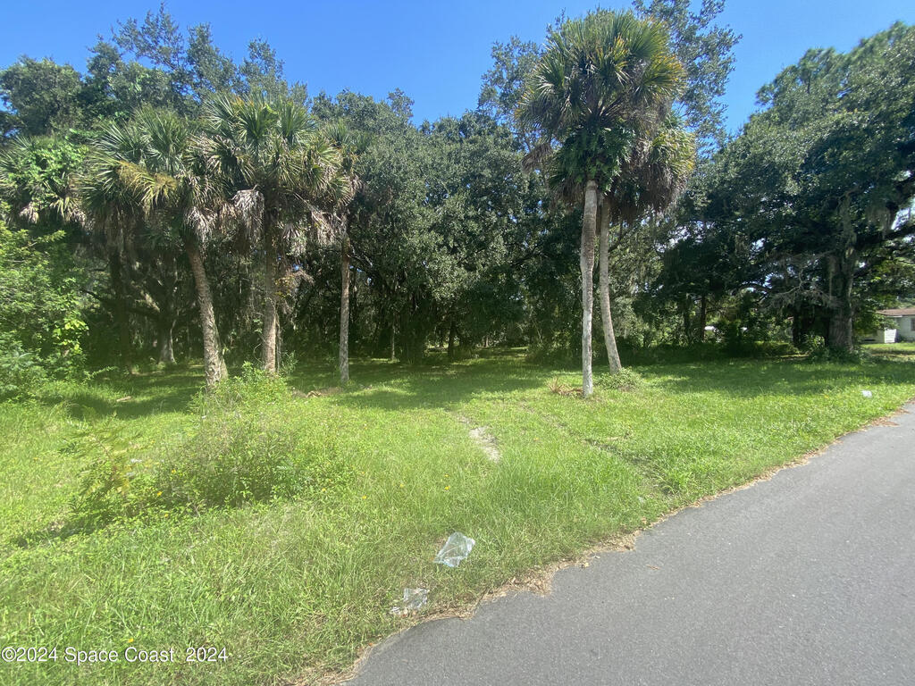 Xxx E Hickory Circle, Mims, FL 32754