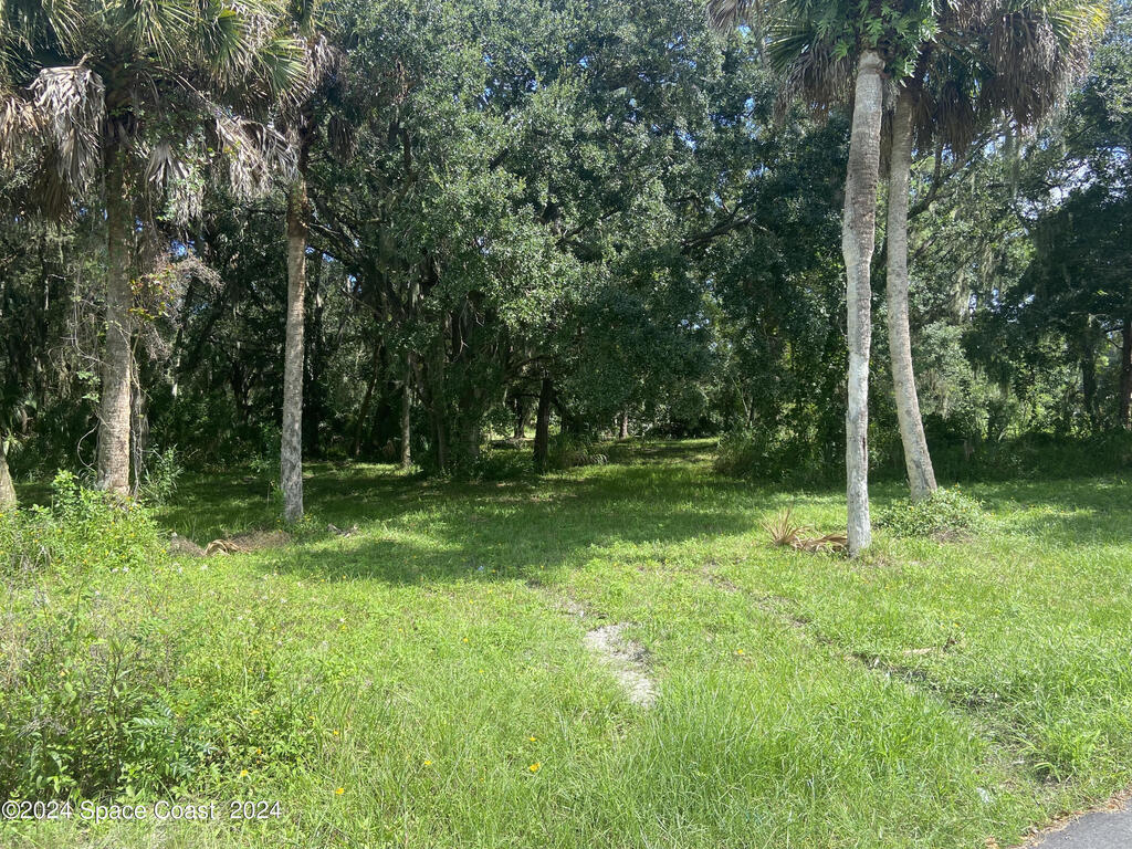 Xxx E Hickory Circle, Mims, FL 32754