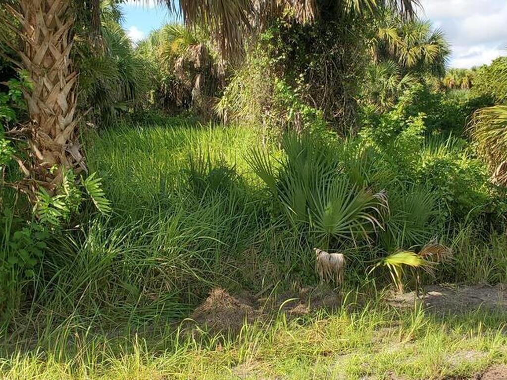 834 Sailboat Street, Palm Bay, FL 32908