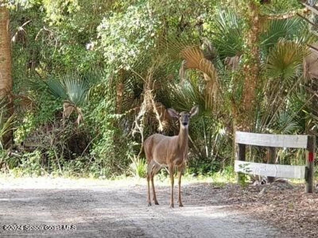 32801 Us Hwy 441, Okeechobee, FL 34972