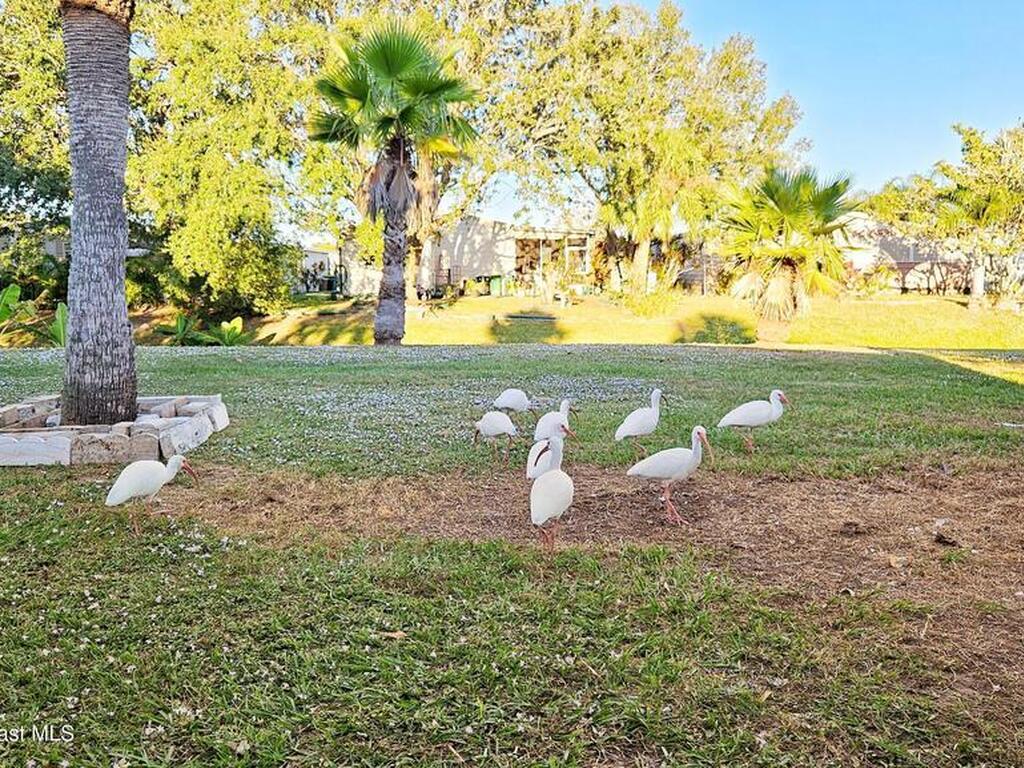 804 Waterway Drive, Barefoot Bay, FL 32976