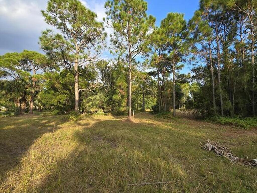 0000 Fleming Grant Road, Micco, FL 32976