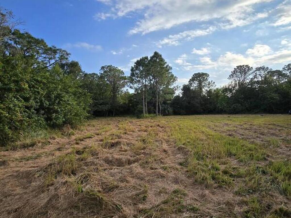 0000 Fleming Grant Road, Micco, FL 32976