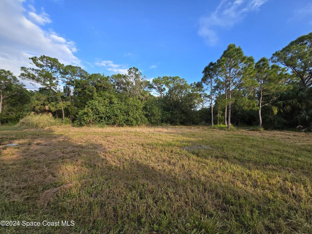0000 Fleming Grant Road, Micco, FL 32976