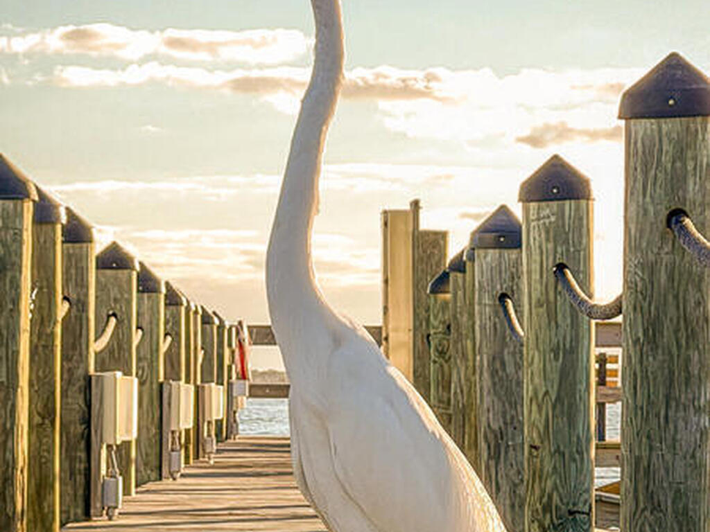 5601 Sea Lavender Place, Melbourne Beach, FL 32951