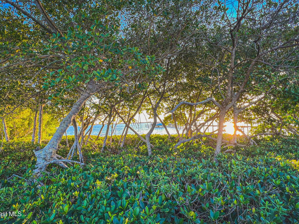 5601 Sea Lavender Place, Melbourne Beach, FL 32951