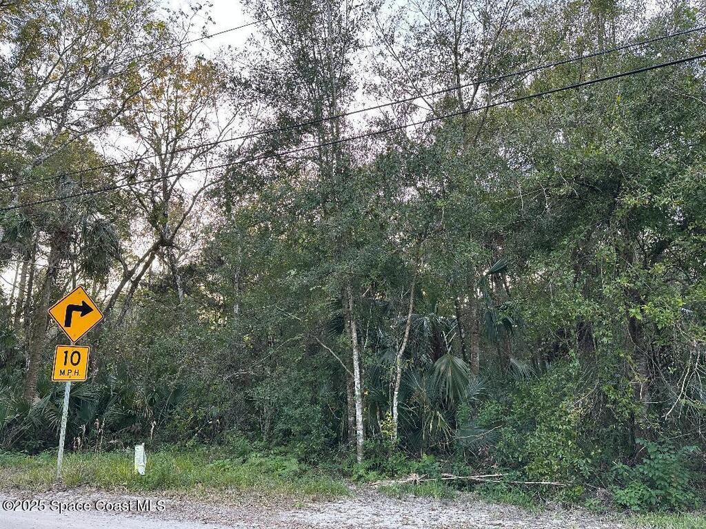 0000 Turpentine Road, Mims, FL 32754