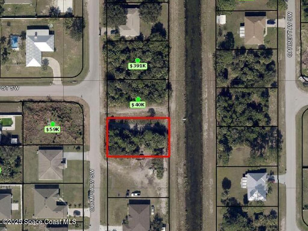 2007 Olympia Avenue, Palm Bay, FL 32908