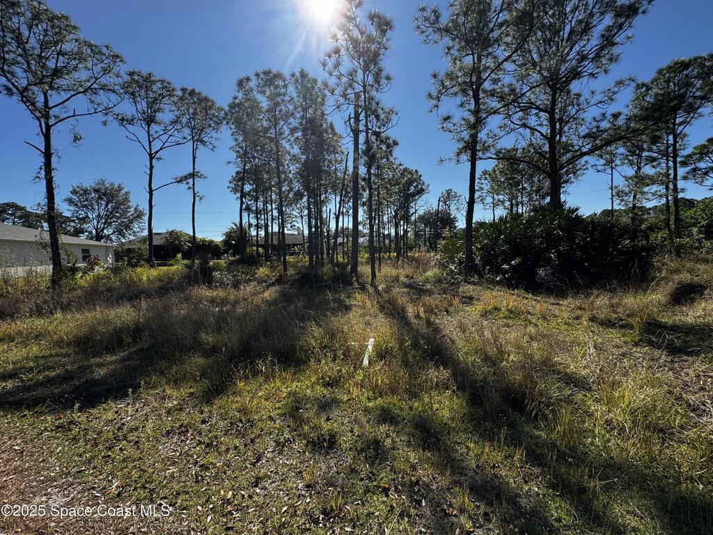 2497 Palmarita Street, Palm Bay, FL 32909