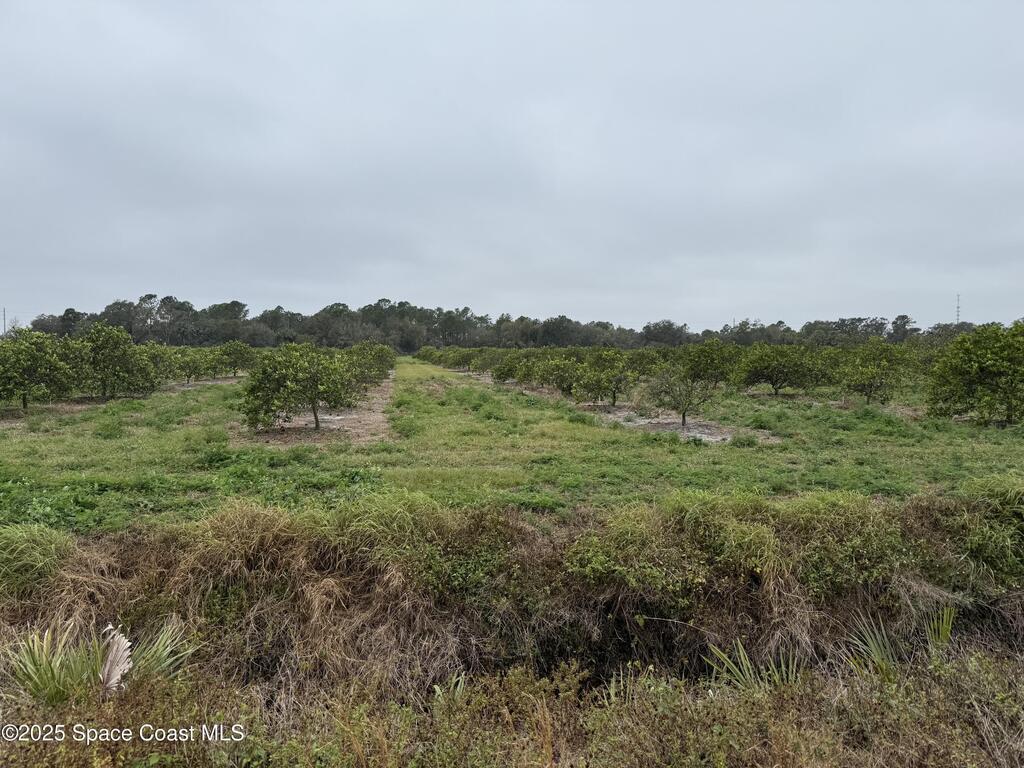 000 Mangrove Street, Mims, FL 32754