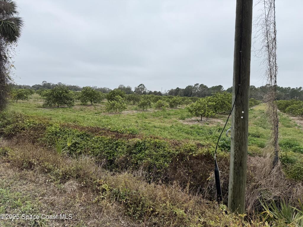 000 Mangrove Street, Mims, FL 32754