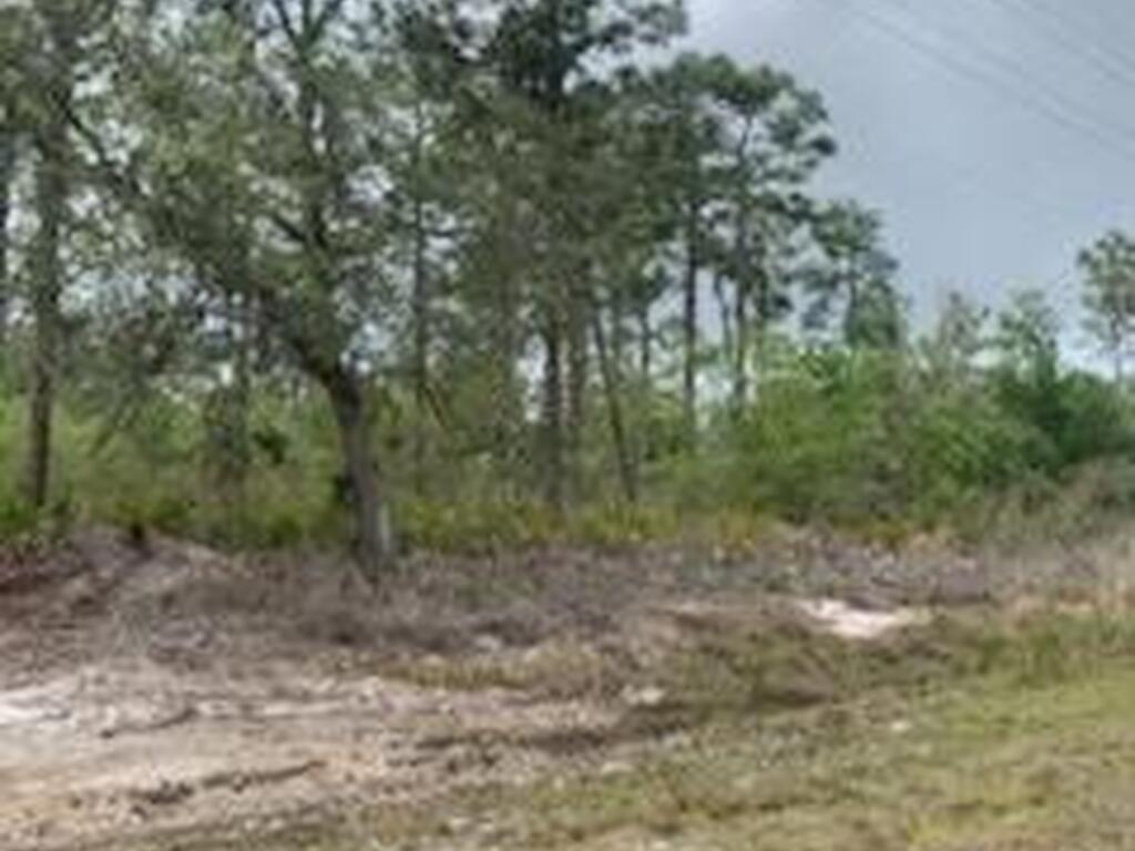 Azalea Drive, Indian Lake Estates, FL 33855