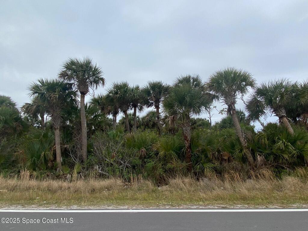 Tbd Lot 3 Rocky Point Road, Malabar, FL 32950