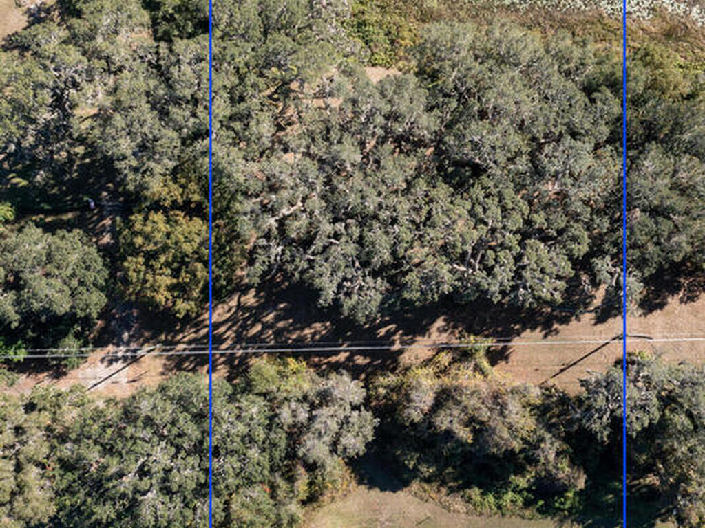 40762 State Road 19, Umatilla, FL 32784