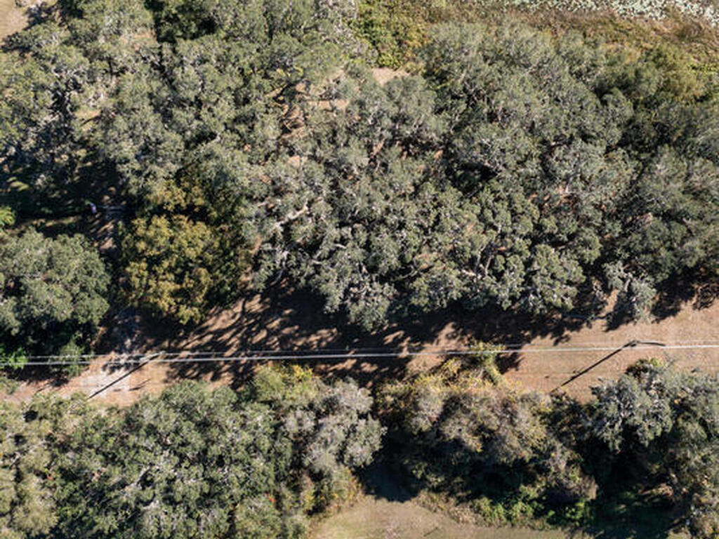 40762 State Road 19, Umatilla, FL 32784