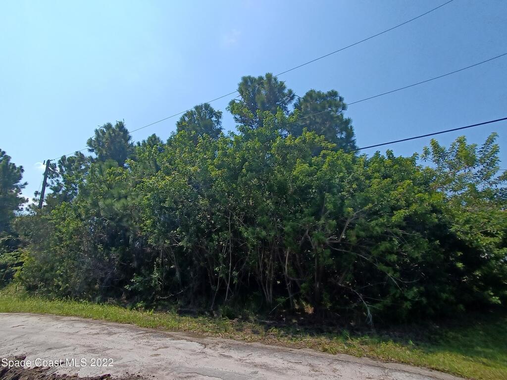 2698 Lakeland Avenue, Palm Bay, FL 32908