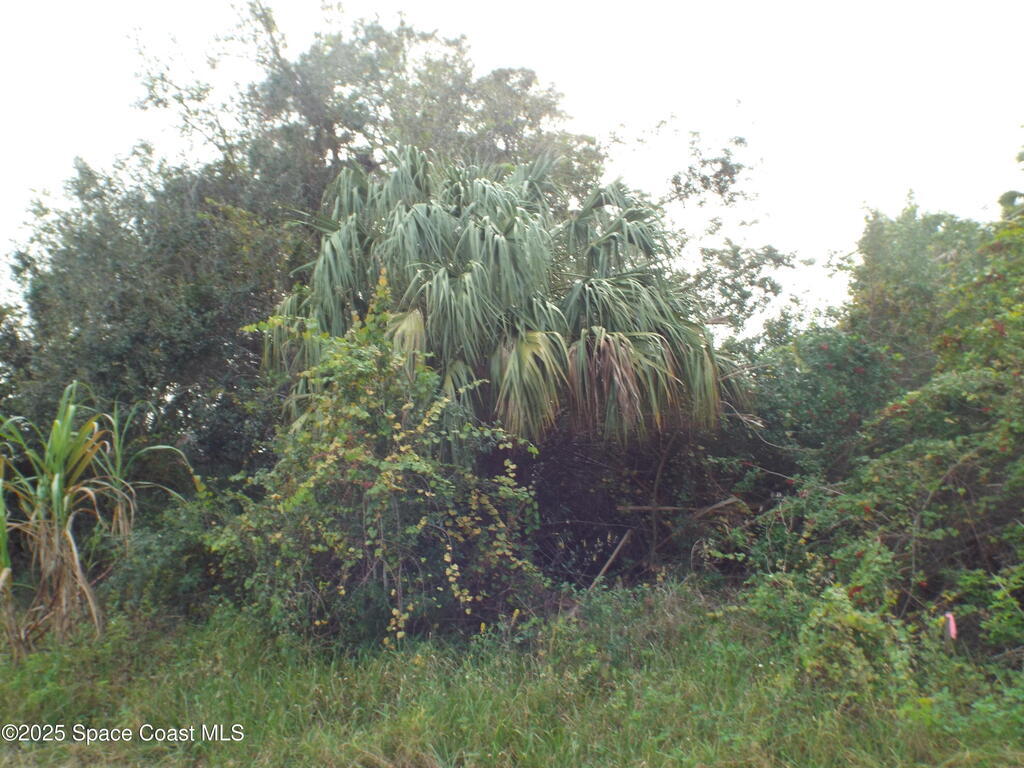 1516 Erie Court, Palm Bay, FL 32909