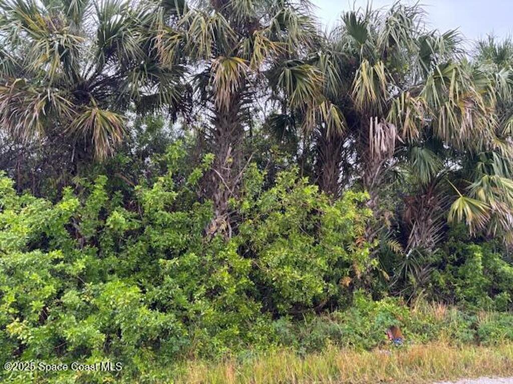 1325 Laredo Street, Palm Bay, FL 32908