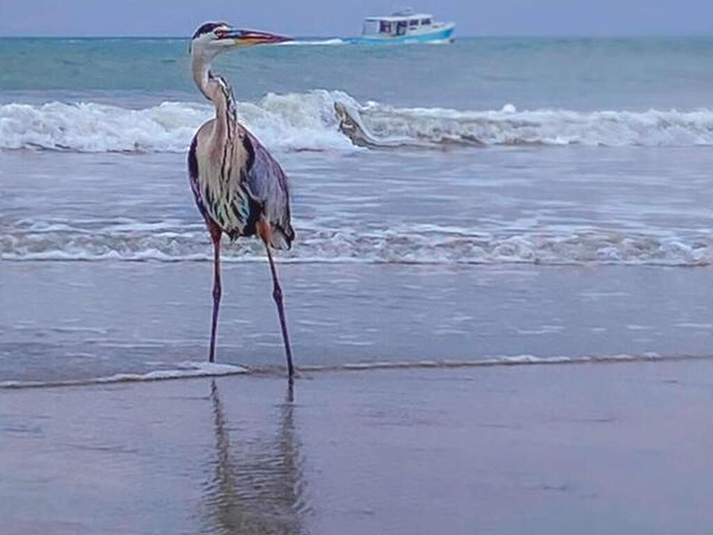 123 Roosevelt Avenue, Cocoa Beach, FL 32931