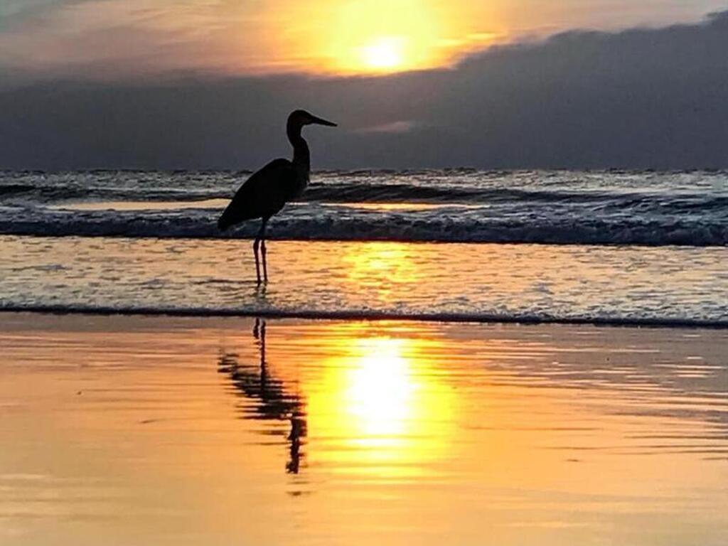 123 Roosevelt Avenue, Cocoa Beach, FL 32931