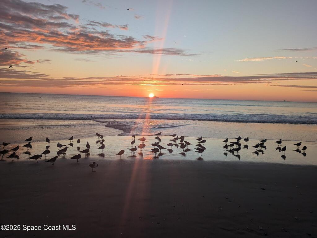 123 Roosevelt Avenue, Cocoa Beach, FL 32931