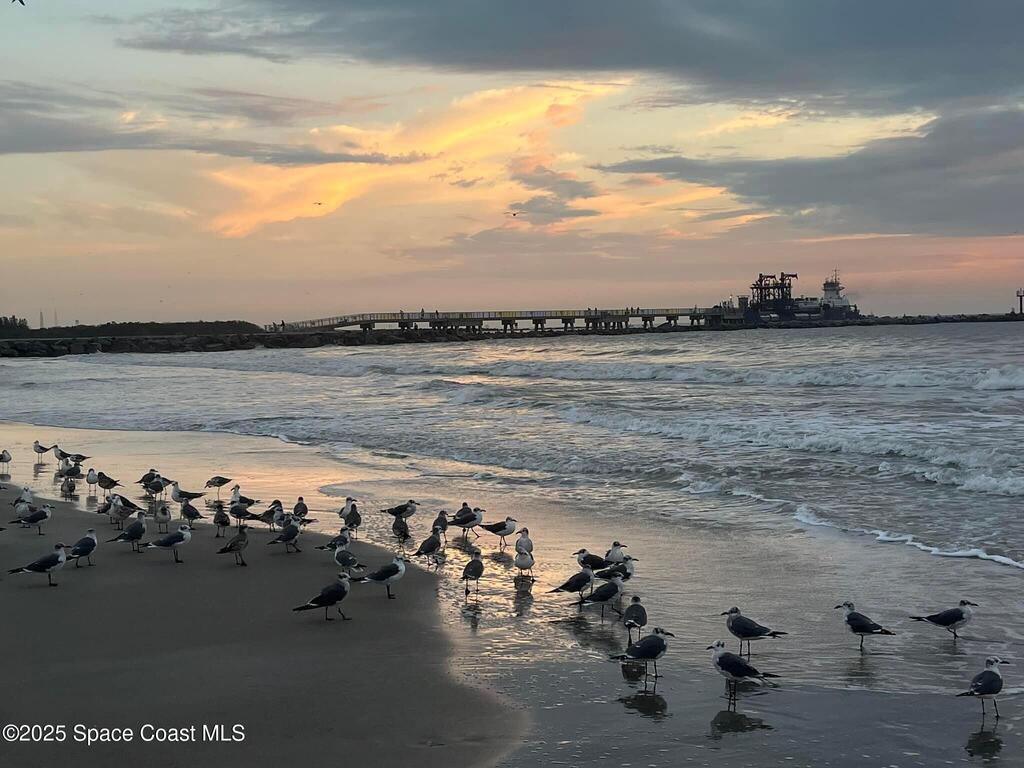 123 Roosevelt Avenue, Cocoa Beach, FL 32931