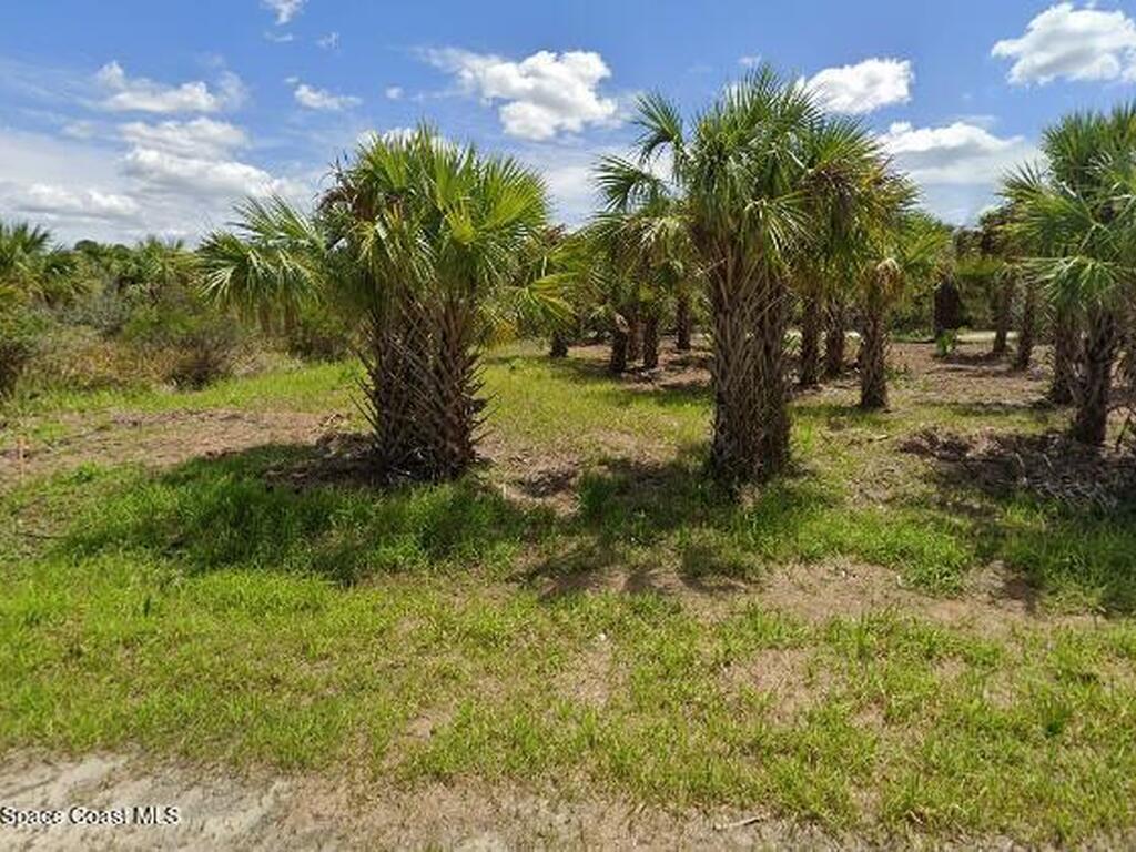 1358 Merganser Street, Palm Bay, FL 32908