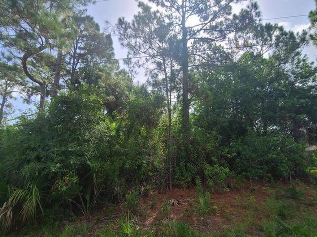 1077 Hammacher Avenue, Palm Bay, FL 32908