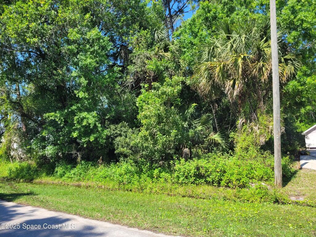 569 Joy Haven Drive, Sebastian, FL 32958
