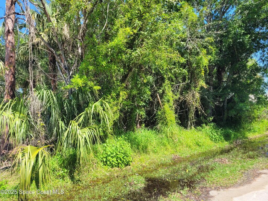 569 Joy Haven Drive, Sebastian, FL 32958