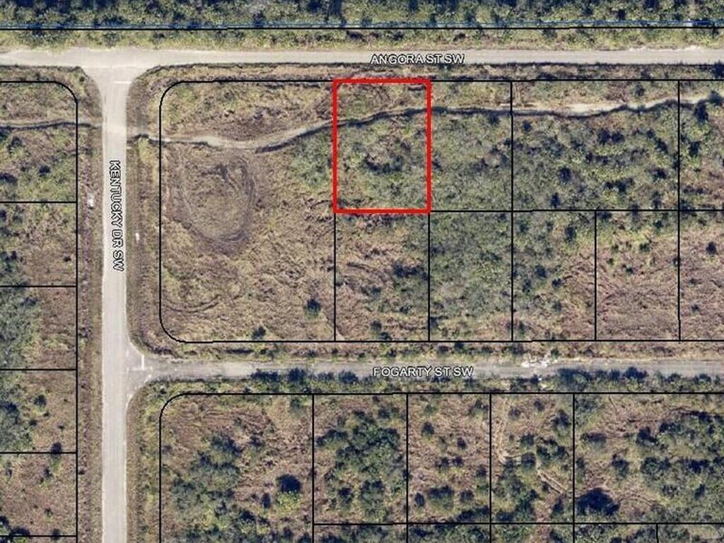 1586 Angora Street, Palm Bay, FL 32908