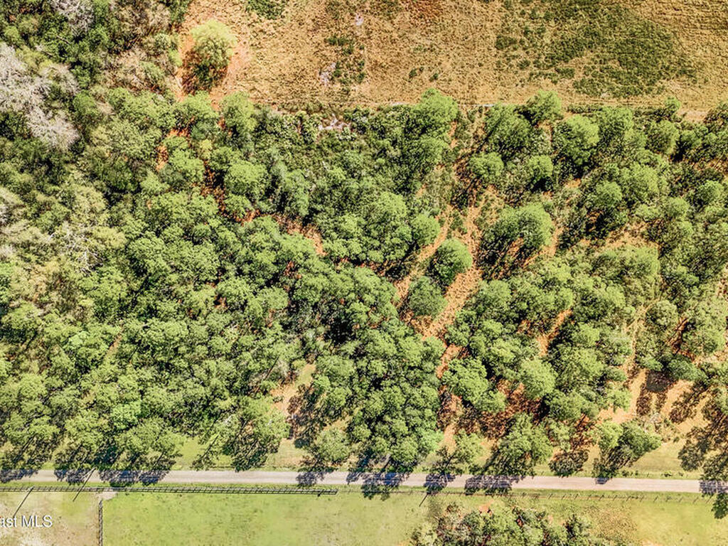 21862 Fort Christmas Road, Christmas, FL 32709
