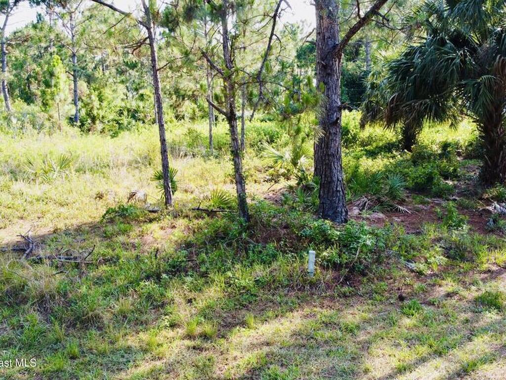 2454 Anchor Road, Palm Bay, FL 32909