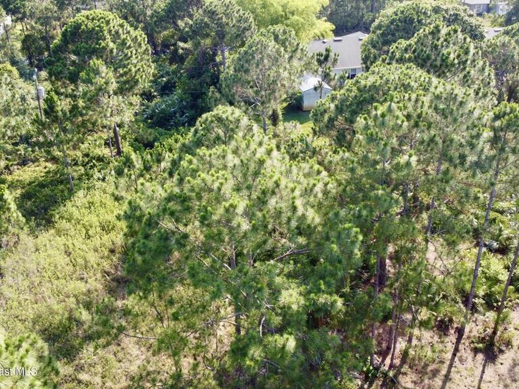 2454 Anchor Road, Palm Bay, FL 32909
