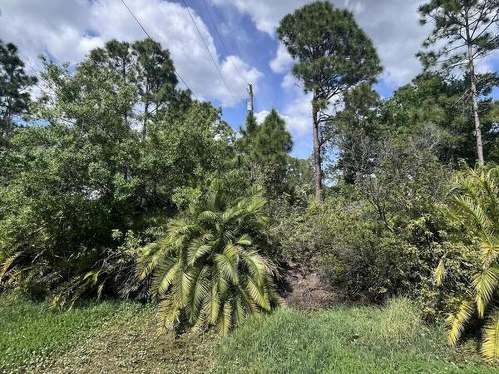 13450 85th Street, Fellsmere, FL 32948