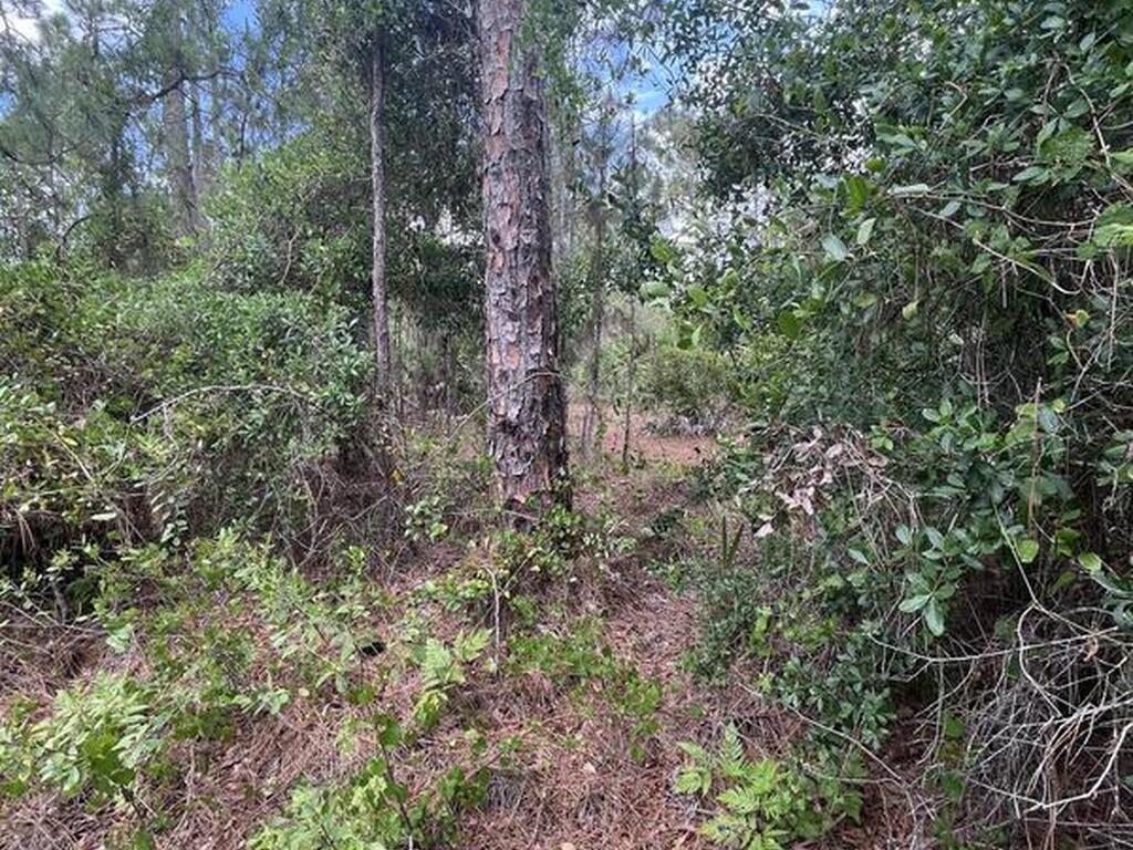 13450 85th Street, Fellsmere, FL 32948