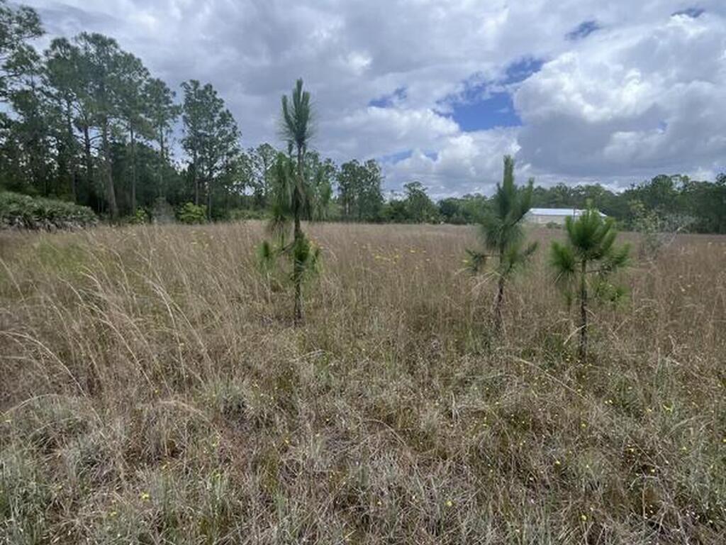 13450 85th Street, Fellsmere, FL 32948